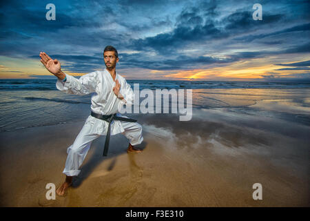 Karate-Meister in Verteidigungsposition Stockfoto