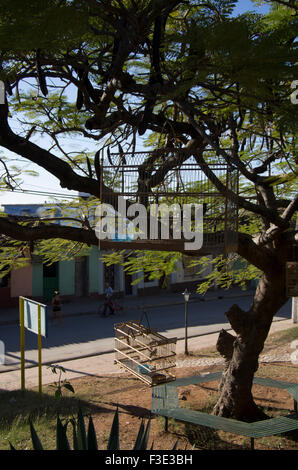 Vögel in Käfigen hängen von einem Baum in Trinidad, Sancti Spiritus, Republik Kuba Stockfoto