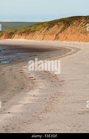 Der Sand des Mussetter auf der Insel Eday, Orkney Inseln, Schottland. Stockfoto