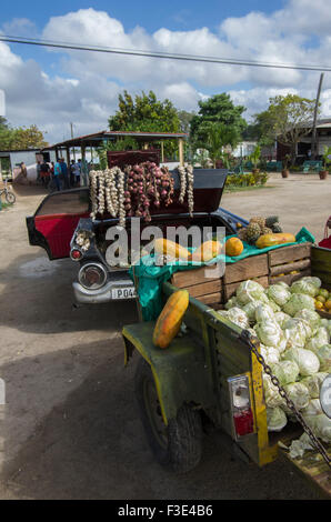 Knoblauch und Ananas zum Verkauf auf der Rückseite von einem amerikanischen Oldtimer in Playa Larga auf der Insel Kuba Stockfoto