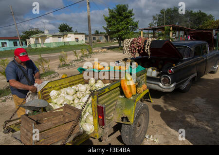 Knoblauch und Ananas zum Verkauf auf der Rückseite von einem amerikanischen Oldtimer in Playa Larga auf der Insel Kuba Stockfoto