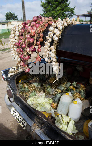 Knoblauch und Ananas zum Verkauf auf der Rückseite von einem amerikanischen Oldtimer in Playa Larga auf der Insel Kuba Stockfoto