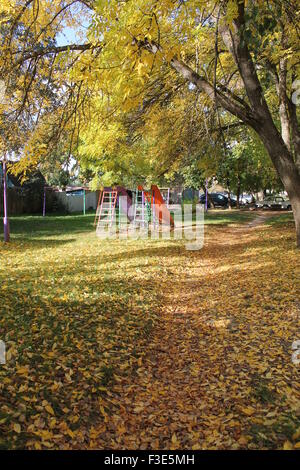 schöne Stadtstraße über leuchtend gelbes Laub im sonnigen Herbsttag Stockfoto