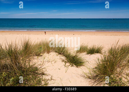 Saint Georges d'Oleron Saumonards Strand Insel d'Oléron Poitou-Charentes Charente Maritime France Europe Stockfoto