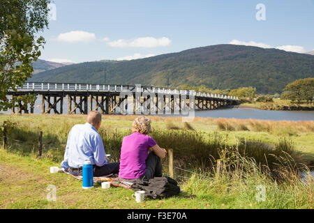 Genießen den Blick auf die Mündung des Mawddach in der Nähe der historischen hölzernen Mautbrücke an Penmaenpool, Gwynedd, Wales. Stockfoto