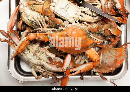 Haufen von frisch gedämpfte blaue Krabben Stockfoto