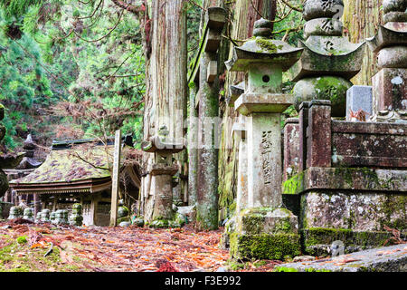 Japan, Koyasan Friedhof, Okunoin. Ishi Doro, steinlaternen und weg Vergangenheit torii Tor und der satake Familie Pavillon Mausoleum im Zedernwald. Stockfoto