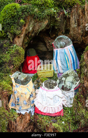 Japan, Koyasan Friedhof, Okunoin. Gruppe von fünf bibbed jizo bosatsu Statuen aus Stein und Kunststoff collection Warenkorb in Ausgehöhlten Cedar Tree Trunk. Stockfoto