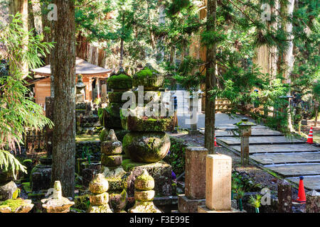 Japan, Koyasan, Okunoin. Gepflasterte weg, gesehen, durch Bäume und den Naka-no-Hashi, mittlere Brücke, mit hölzernen Schrein Gebäude darüber hinaus. Stockfoto