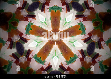 Kaleidoskop Stockfoto