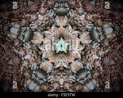 Kaleidoskop Stockfoto