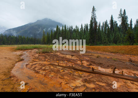 Farbtöpfe, Federn eisenreichen kalten Mineral in der Kootenay National Park, Britisch-Kolumbien, Kanada Stockfoto