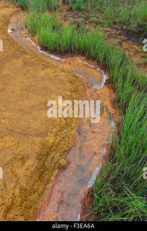 Farbtöpfe, Federn eisenreichen kalten Mineral in der Kootenay National Park, Britisch-Kolumbien, Kanada Stockfoto