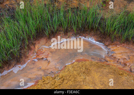 Farbtöpfe, Federn eisenreichen kalten Mineral in der Kootenay National Park, Britisch-Kolumbien, Kanada Stockfoto