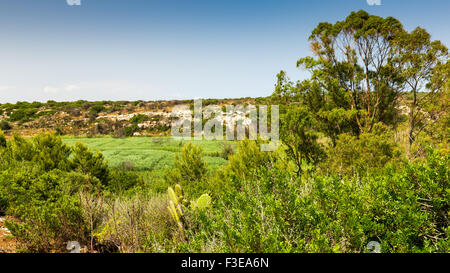Naturschutzgebiet Vendicari.  Riserva Naturale Orientata Oasi Faunistica di Vendicari, Sizilien Stockfoto