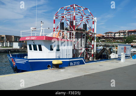 Muschel-Farm Schiff am Liegeplatz. Hafen von Nessebar, Bulgarien Stockfoto