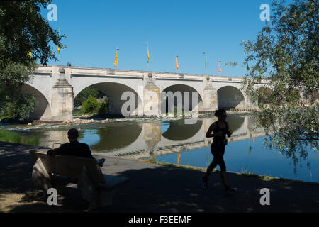 Pont Wilson über die Loire in Tours Stockfoto