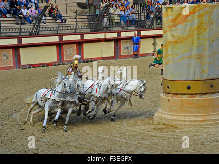 Römische Wagenrennen im Themenpark Puy du Fou Frankreich Stockfoto