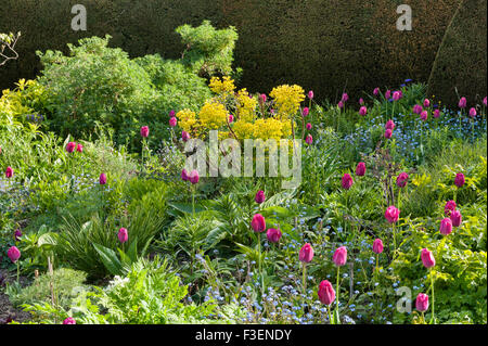 Die Gärten an der Great Dixter, East Sussex, UK, erstellt von Christopher Lloyd. Der Pfau Garten im Frühjahr Stockfoto