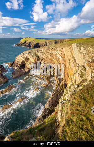 Die erstaunliche geologische Felsen und Höhlen in der Nähe Wooltack Stelle in St.Brides Bay in Pembrokeshire Coast National Par suchen Stockfoto