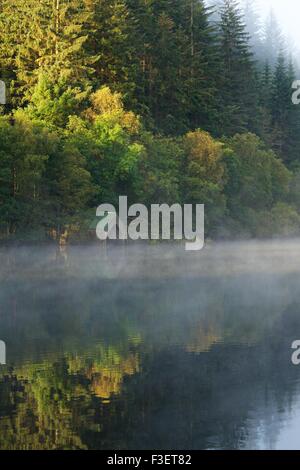 Herbstfarben in den Wäldern rund um Loch Ard zeigt Stockfoto