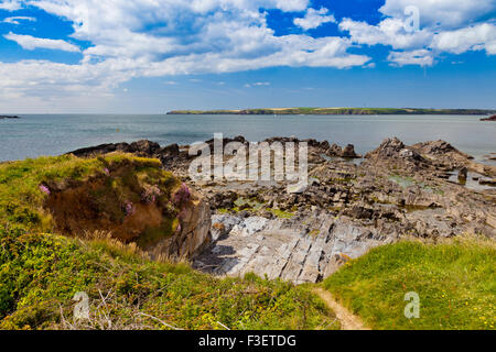 Der Blick über Milford Haven in Richtung St Ann Kopf aus West Angle Bay in Pembrokeshire Coast National Park, Wales, Großbritannien Stockfoto