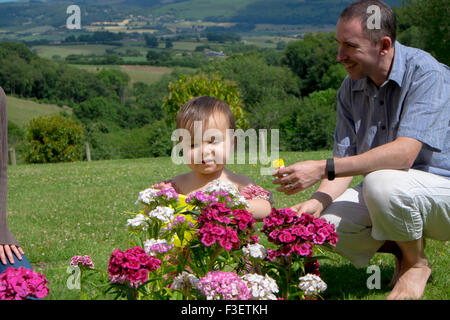 Vater mit 16 Monate alte Tochter, spielen mit Blumen im Garten, Monmouth, Wales, UK Stockfoto