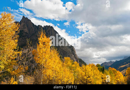 Blatt wird angezeigt, in der Nähe von Telluride, Colorado Stockfoto