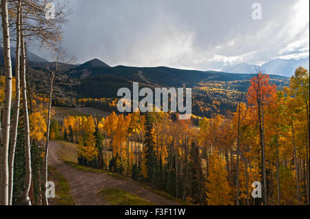 Herbst Blatt dispays in Telluride, Colorado, von einer Gondel aus gesehen Stockfoto