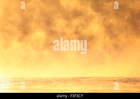 Nebel steigt aus den Susquehanna River im Morgengrauen... MD, USA. Stockfoto