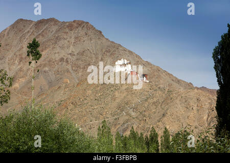 Indien, Jammu & Kashmir, Ladakh, Leh, Tsemos Lhamo Lhakang und Namgyal Tsemos erhöhten Hillsite bauseits Stockfoto