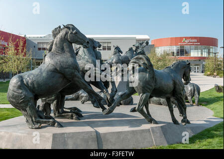 Calgary Stampede Boden Stockfoto