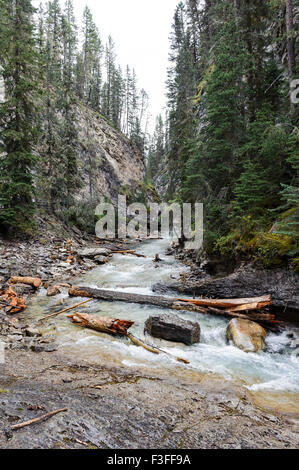 Johnston Canyon Stockfoto