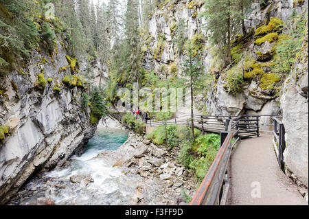 Johnston Canyon Stockfoto