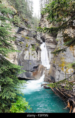 Johnston Canyon Stockfoto