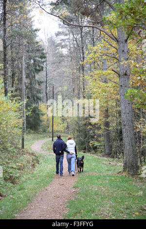 Junges Paar mit Hund, Wandern im Wald im Herbst; Schweden keine Herr Stockfoto
