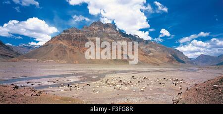 Fluss; Himalaya-Berg; himalaya-Berge; himalaya-Landschaft; Ladakh; Kaschmir; Indien; Asien; Asiatisch; Indisch Stockfoto