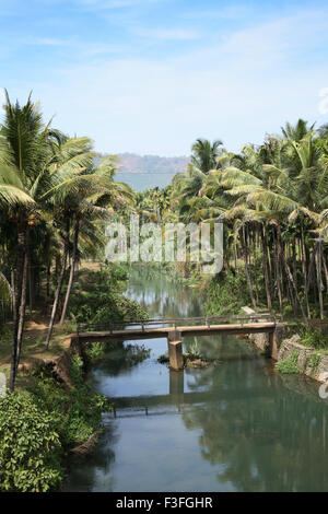 Kleine Fußgängerbrücke auf dem Weg zum Athirappilli; Dist Thrissur; Kerala; Indien Stockfoto