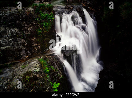 Severn bricht ihm das Genick, die Quelle des Flusses Severn in Powys, Wales, Großbritannien Stockfoto