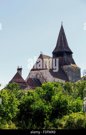 Wehrkirche in der sächsischen Dorf Rammsondiergeräte, Siebenbürgen, Rumänien Stockfoto