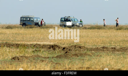Safari, Chari Dhandh, Chari Dhand-Feuchtgebietsschutzgebiet, Banni-Grasland, Rann of Kutch, Kutch District, Gujarat, Indien, Asien Stockfoto