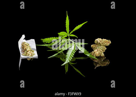 Marihuana-Hintergrund. Cannabis-Zigarette gemeinsame, Knospe und Hanf verlässt isolierten auf schwarzen Hintergrund. Süchtig machende Droge Stockfoto