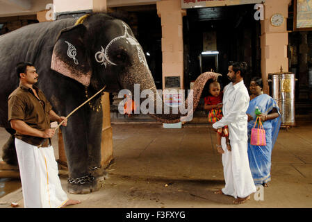 Anhänger Tempel Elefant Segnungen erhalten; Swamimalai; Tamil Nadu; Indien Stockfoto