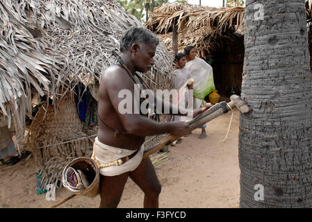 Toddy Tapper schärfen Messer in der Nähe von Tiruchendur; Tamil Nadu; Indien Stockfoto