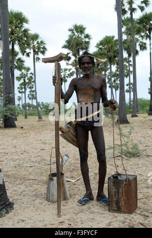 Palm-Sap von Tapper in der Nähe von Tiruchendur gesammelt; Tamil Nadu; Indien Stockfoto