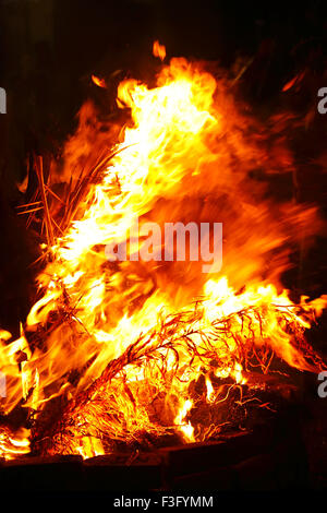 Holika Dahan; Holi Festival; Festival der Liebe; Festival der Farben; Festival des Frühlings; Indien; Asien Stockfoto