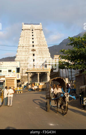 Tiruvannamalai-Tempel; Hindu-Tempel; Tiruvannanallur; Tiruvannamalai; Tamil Nadu; Indien; Asien Stockfoto