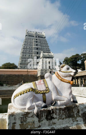 Tiruvannamalai-Tempel; Hindu-Tempel; Tiruvannanallur; Tiruvannamalai; Tamil Nadu; Indien; Asien Stockfoto