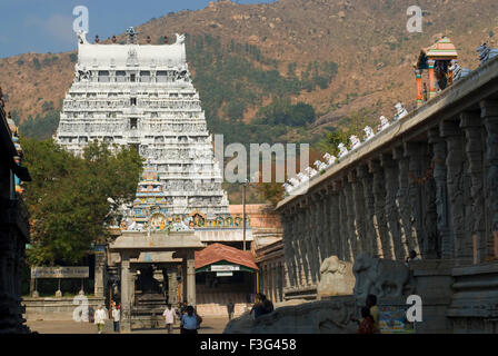 Tiruvannamalai-Tempel; Hindu-Tempel; Tiruvannanallur; Tiruvannamalai; Tamil Nadu; Indien; Asien Stockfoto