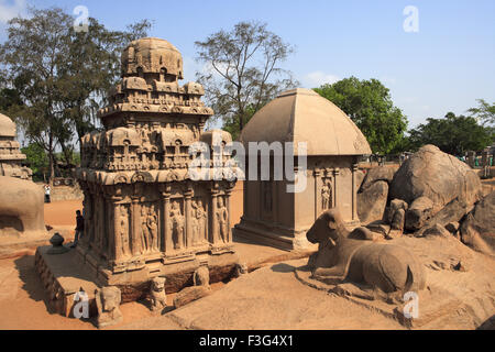 Pancha Rathas Nandi Recht Draupadi-Ratha-Arjuna-Ratha geschnitzt König Mamalla Monolith Felsentempel Mahabalipuram Tamil Nadu Stockfoto